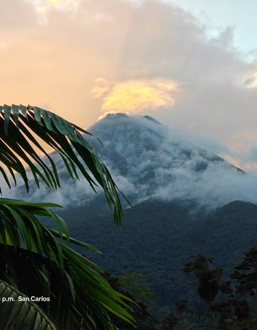 A volcano with lush greenery and mist.
