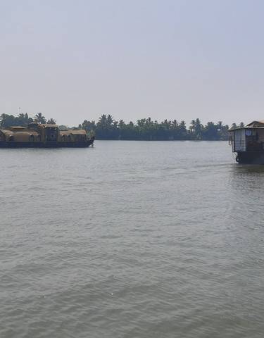 Houseboats on a lake with palm trees in the background