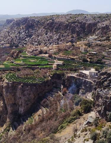Terraced farmland on a mountainous terrain.