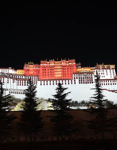 The illuminated facade of the Potala Palace at night.