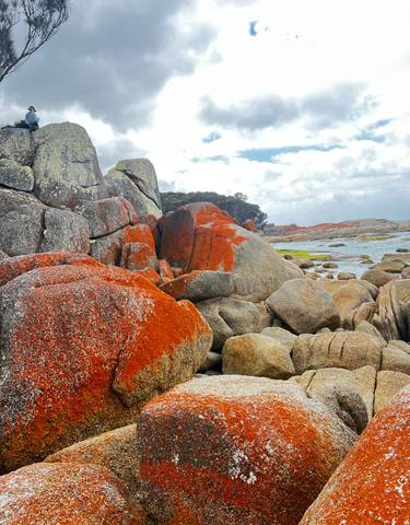 Brightly colored rocks by the ocean, covered with orange lichen.