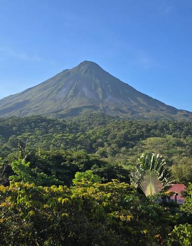 View of Arenal Volcano with a lush green forest in the foreground.