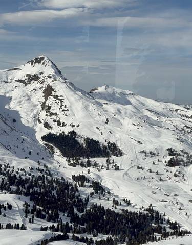 Stunning snow-capped mountain range with forests.