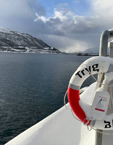 Snow-covered mountains and water body with a life preserver in the foreground.