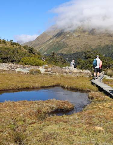 Hikers walking on a path through a lush landscape with mountains in the distance.