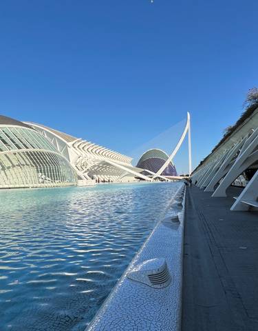 Modern architecture of the City of Arts and Sciences in Valencia.