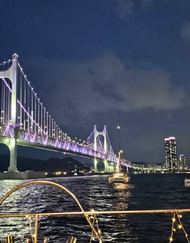Bridge illuminated at night with city skyline and boats in water.