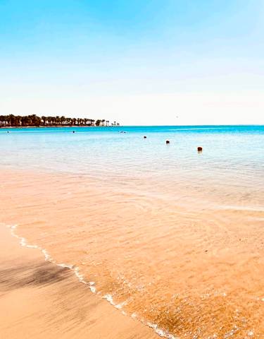 Serene beach with clear blue water and palm trees.