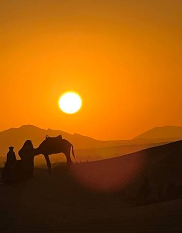 Silhouette of a camel and person at sunset.