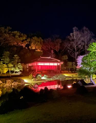 Illuminated garden with traditional structure at night