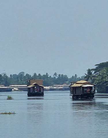 Houseboats on a calm river with lush greenery.