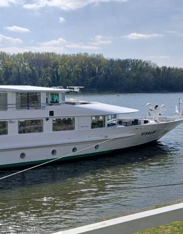 A cruise ship moored at a riverbank with trees and a bridge in the background.
