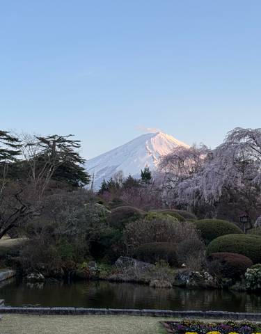 Majestic view of Mount Fuji with cherry blossoms in the foreground.