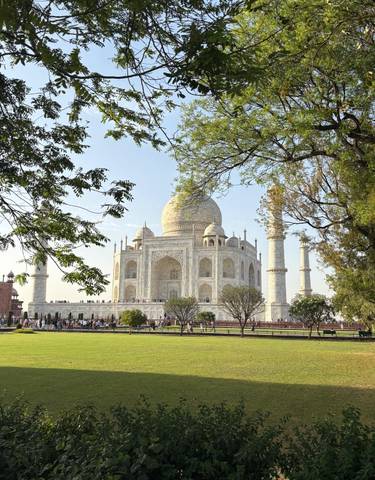 View of the Taj Mahal framed by trees.