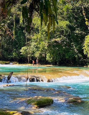 Tropical waterfalls flowing over rocks with lush greenery.