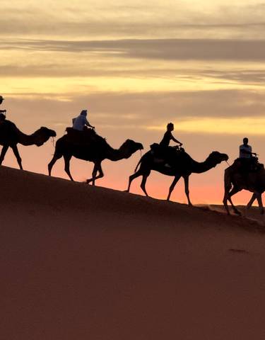 Camel caravan crossing a desert during sunset.