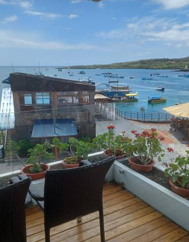 Scenic view of a harbor with boats and a gazebo.
