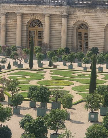 Elegant garden with manicured hedges and pathways