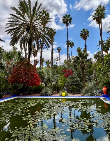 Lush garden with exotic plants and colorful pots.