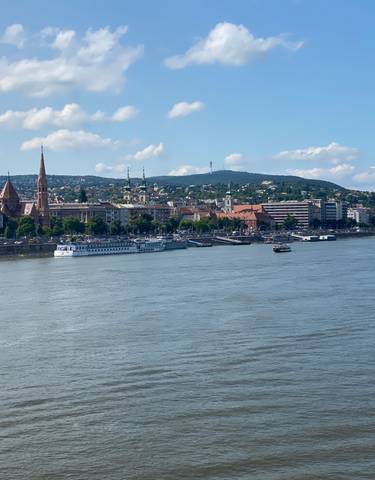 River view with a cityscape and church towers.