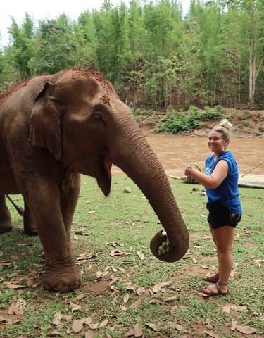 A woman feeding an elephant by a river.
