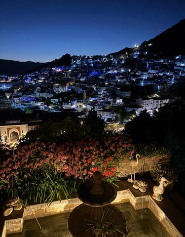 Night view of a city with lights and a large garden.