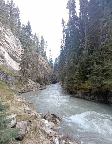 Flowing river through a rocky forested canyon.