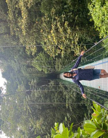 A person walking on a hanging bridge in a lush forest.