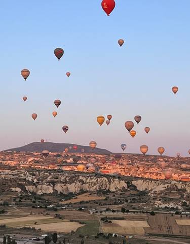 Hot air balloons over a rocky landscape.