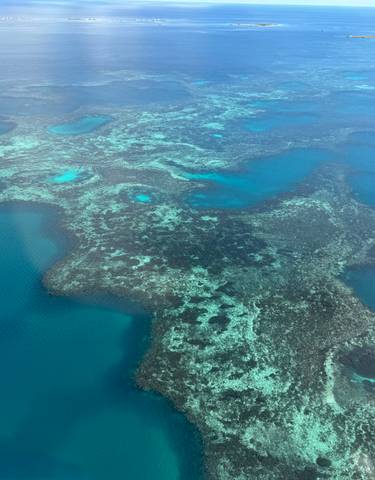 Aerial view of a vibrant coral reef.
