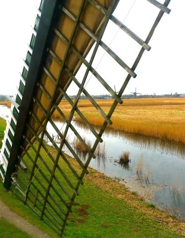 View of a windmill and field with water.