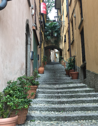 Stone staircase lined with potted plants in a narrow alleyway.