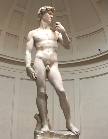 Statue of David by Michelangelo in a museum.