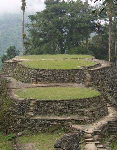 Stone terraces surrounded by dense forest.