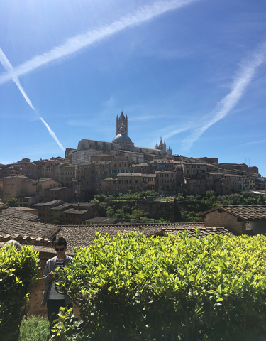 Majestic view of Siena's historic buildings with a clear blue sky.