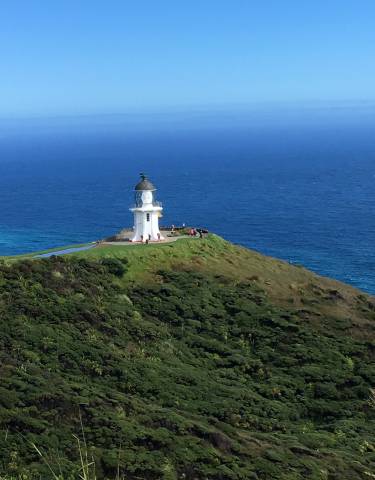 A lighthouse on a hill by the ocean.