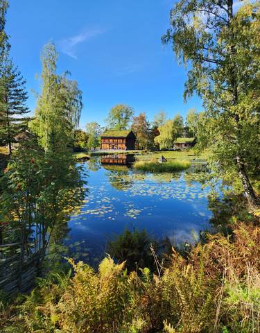 A rural house reflected in a tranquil pond surrounded by trees.