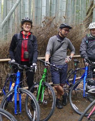 Group of cyclists in a bamboo forest.