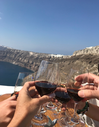 Wine glasses raised against a coastal backdrop.