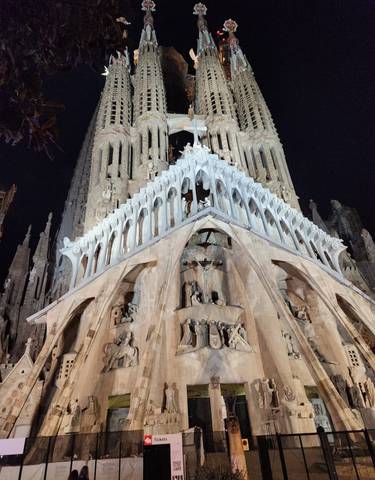 Night view of a large ornate cathedral.