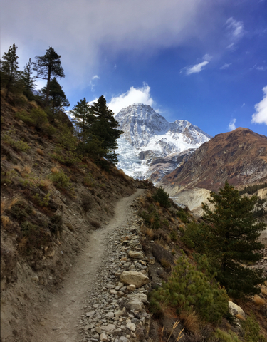 Mountain path leading to snow-covered mountains.