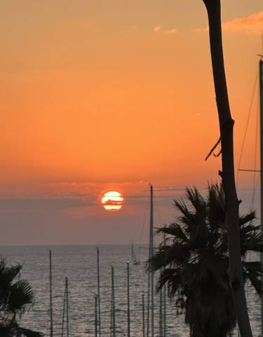 Beautiful sunset over the ocean, silhouetting palm trees.