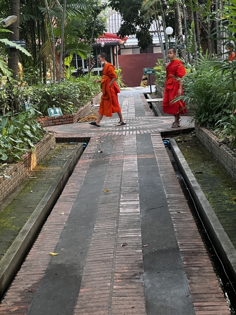 Two monks walking on a path in temple grounds.