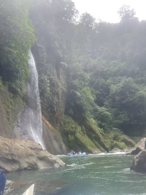 Waterfall in a forest setting.