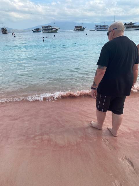 Person walking on pink sand beach with boats in the water.