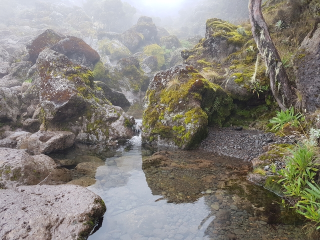 A mossy rock landscape with a small stream.