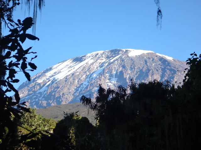Snow-capped Mount Kilimanjaro under a clear sky.