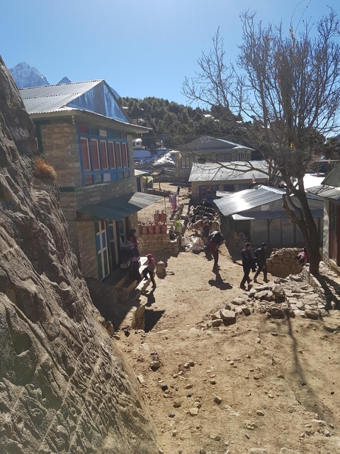 Mountain village bustling with people and livestock.