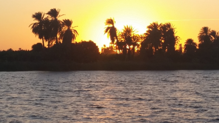 Sunset over a river with palm trees.