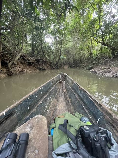 Person in a boat navigating a narrow river.
